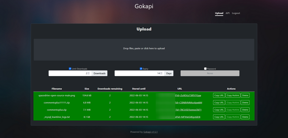 Gokapi Screenshot